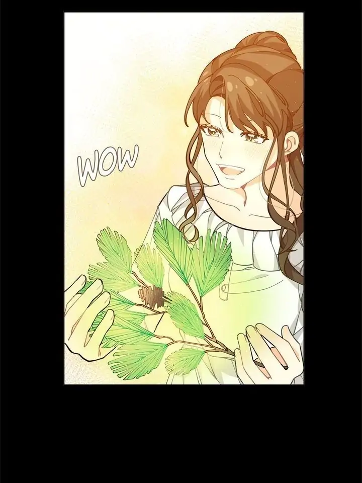 1634775 720 960 41186