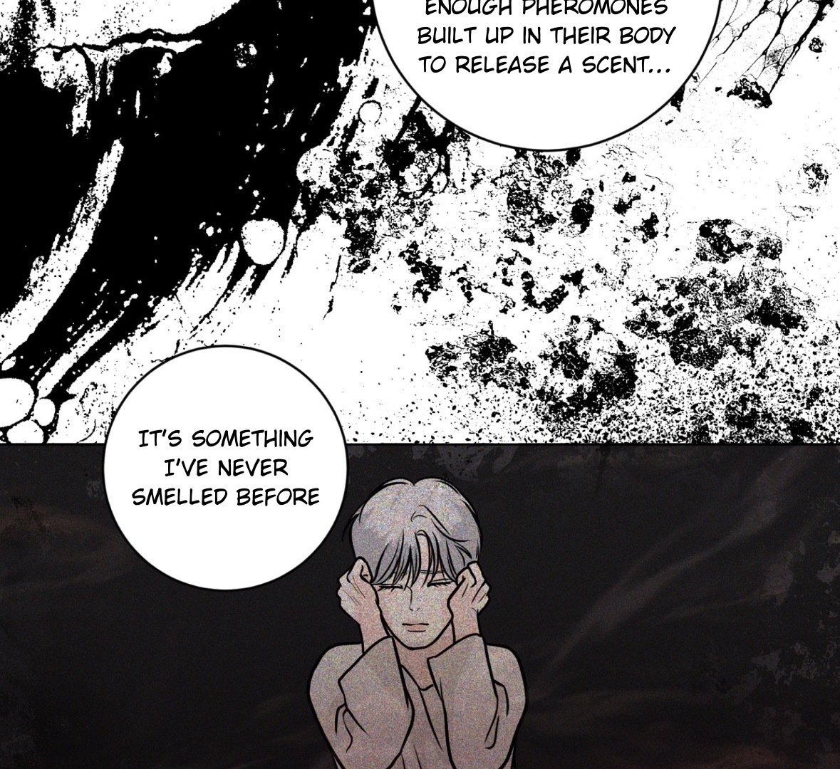 62127023 1179 1080 424459